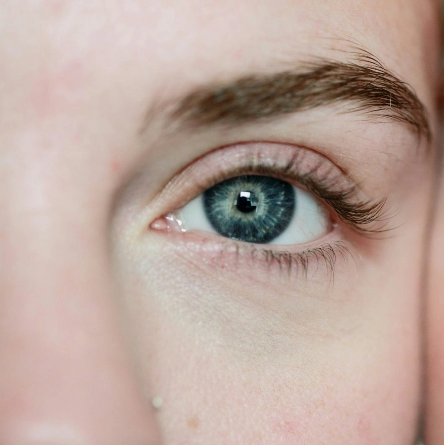 vision
